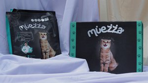 Terpesona 7 Ras Kucing Berbulu Abu-Abu Terindah di Dunia  Dream.co.id
