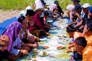 Tradisi Unik Warga Kubu Gadang Makan di Tengah Sawah
