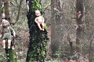 Mirip Film Horor tapi Nyata, Wanita Ini Temukan Boneka Diikat & Dipaku di Pohon
