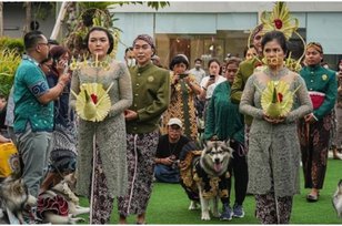 Pesta Pernikahan Anjing Habiskan Biaya Sampai Rp 200 Juta, Apakah Tanda Akhir Zaman?