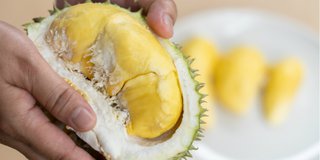 Download 440 Koleksi Gambar Durian Terbelah Paling Bagus 