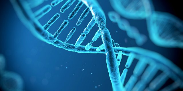 Lafaz `Bismillah` Ditemukan dalam Untaian DNA Manusia