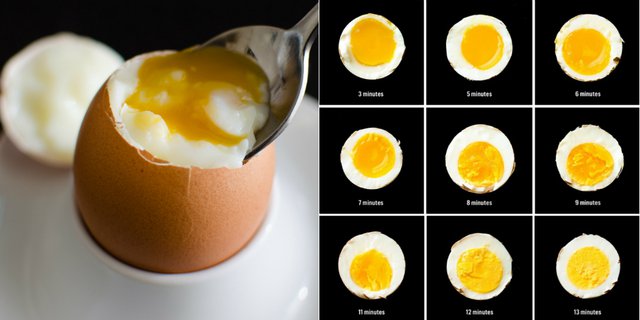 Rebus Telur Berapa Lama Inilah Berbagai Cara Merebus