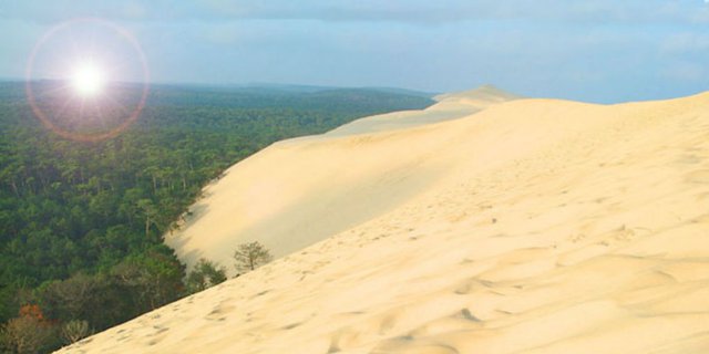 Fenomena 'Bukit Pasir Hidup', Memakan Apa Saja di Dekatnya