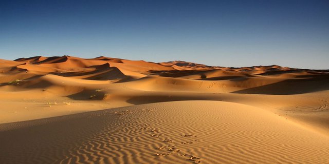 Geger Penemuan Sungai Purba di Bawah Gurun Sahara