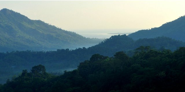 Hutan Pusuk, Surga Tersembunyi dari Lombok