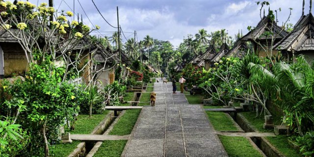 Ada Desa Wisata Anti Polusi di Bali