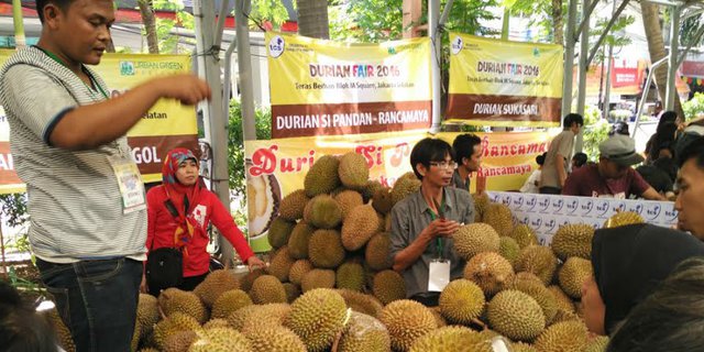 Kota Ini Rajanya Durian di Indonesia