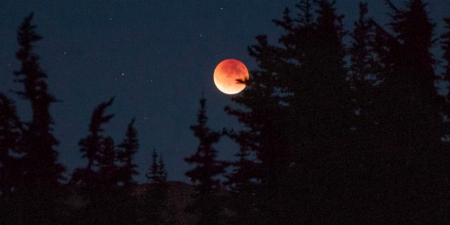 NU Tak Sunahkan Salat Gerhana Bulan Malam Ini