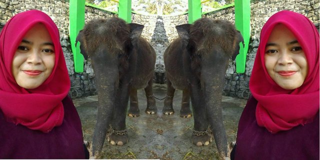 Innalillahi, Dokter di Wonogiri Tewas Terinjak Gajah