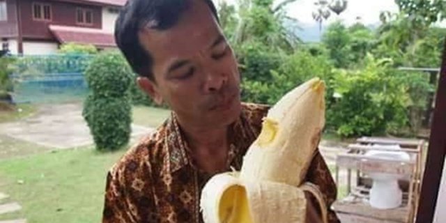 Pisang Raksasa di Indonesia, Makan Satu Takkan Habis!