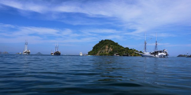 Traveler Semakin Mudah Pelesir ke Pulau Komodo