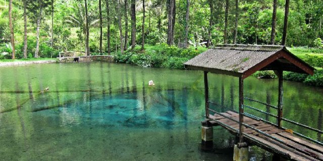 Pesona Danau 'Rambut Monte' yang Sebening Kaca