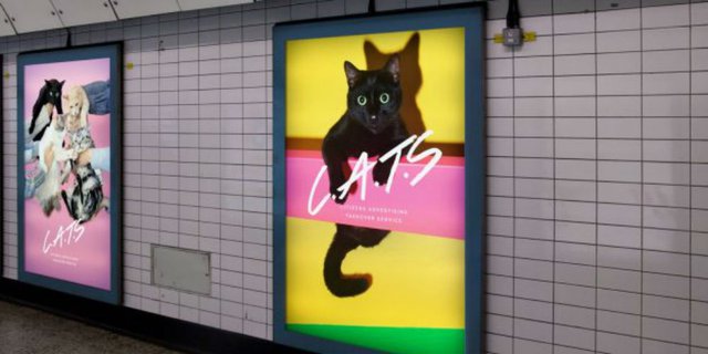 Stasiun Kereta Bawah Tanah London Dipenuhi Kucing, Ada Apa?