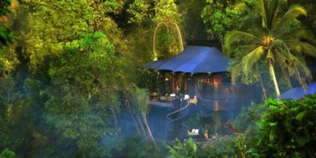 Hotel Unik Berkonsep Tenda Mewah Tengah Hutan Hadir di Bali