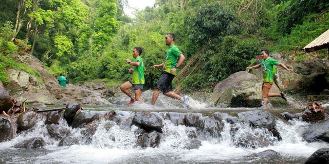 Ijen Green Run, Sensasi Lari Menyusuri Belantara Banyuwangi