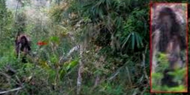 5 Hantu Kalimantan Yang Bikin Warga Ketakutan Dream Co Id