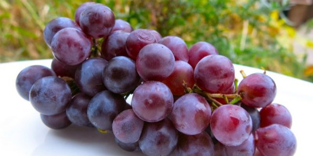 Risiko Tersedak, Selalu Awasi Anak Saat Makan Anggur