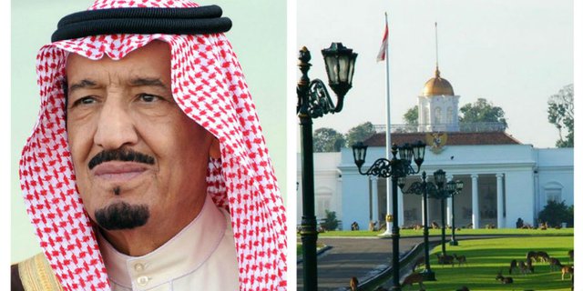Raja Salman akan Tanam Pohon Bersama Jokowi di Bogor