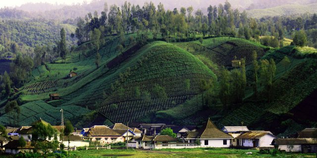 Ini Lho 5 Desa Tertinggi di Indonesia yang Cantiknya Parah! 