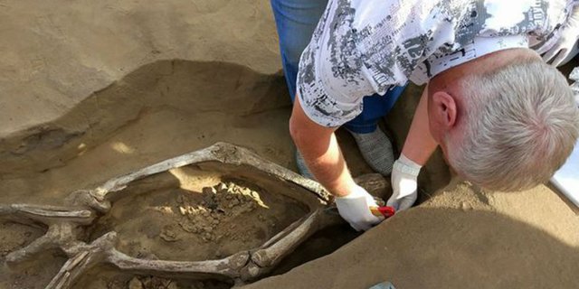 Temukan 'Kerangka Menari', Arkeolog Bingung