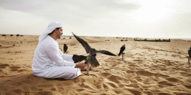 Melihat Beragam Fauna Teluk Arab di 5 Destinasi Andalan Dubai