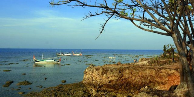 Yuk Berwisata ke Giliyang, Pulau dengan Oksigen Terbaik Dunia