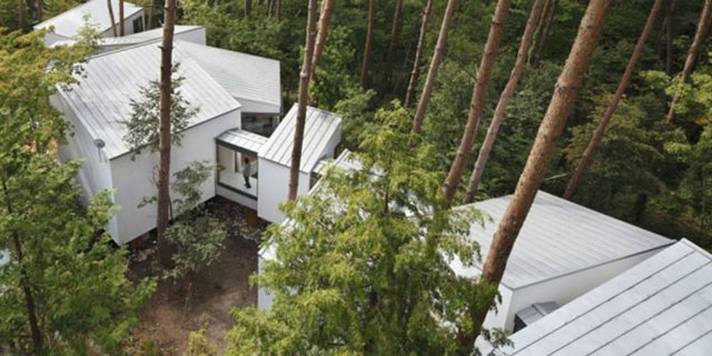 Keren! Rumah Kontemporer Modern Tersembunyi di Tengah Hutan