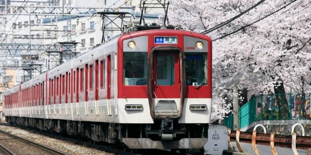 Hore! Kintetsu Rail Pass Bisa Dipesan via Online Per 1 Oktober