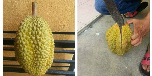 Pria Ini Beli Durian Rp15 Ribu, Saat Dibuka Isinya Bikin Kaget