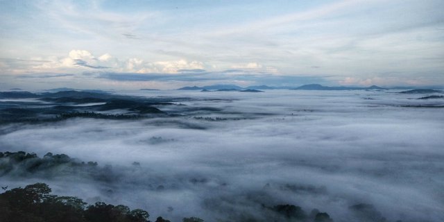 Kalteng Siapkan Destinasi Wisata Baru Pendukung Tanjung Puting