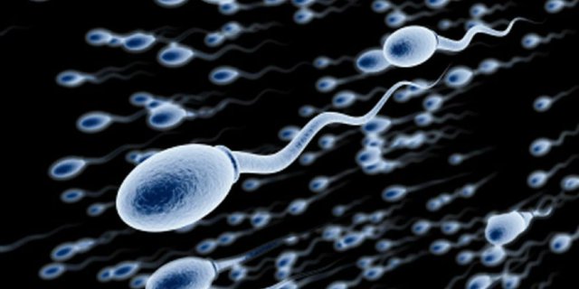 Fakta Mengejutkan Tentang Penurunan Kualitas Sperma