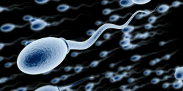 Sudah Tahu Tanda-tanda Sel Sperma dalam Kondisi Sehat?