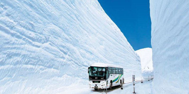Melintasi Dinding Salju Raksasa di Jepang, Merinding!