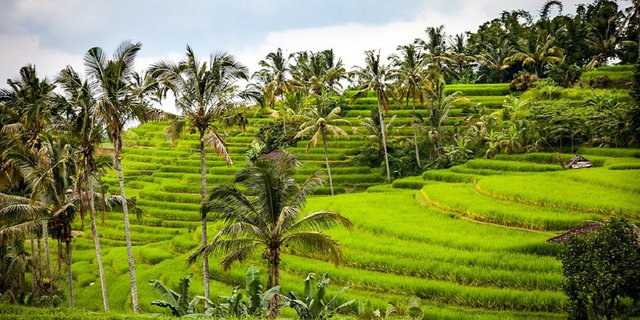 13 Hal yang Dirindukan Turis Asing dari Indonesia