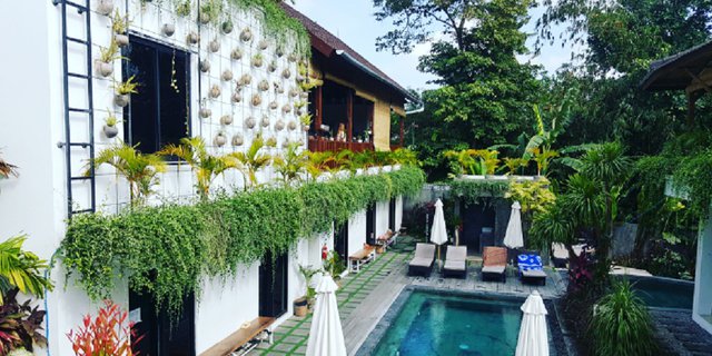 Keren! Hostel di Bali Paling Instagramable di Dunia