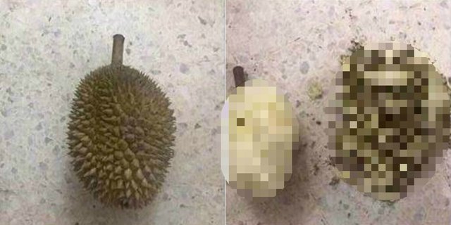 Download 80 Gambar Durian Sudah Dikupas Paling Baru HD