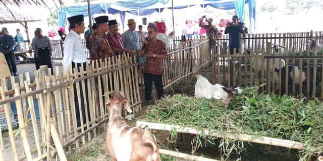 Gelar Pasar Qurban Mubarak Laz Al Azhar Edukasi Ibadah