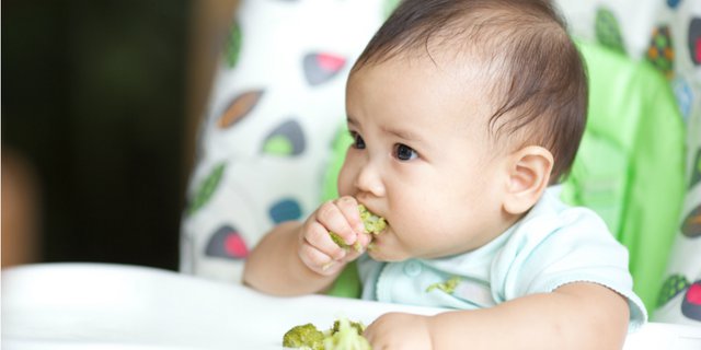 Menu Paling Tepat untuk Bayi yang Baru Belajar Makan