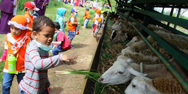 Ini Ketentuan Dalam Pembagian Daging Kurban Dream Co Id