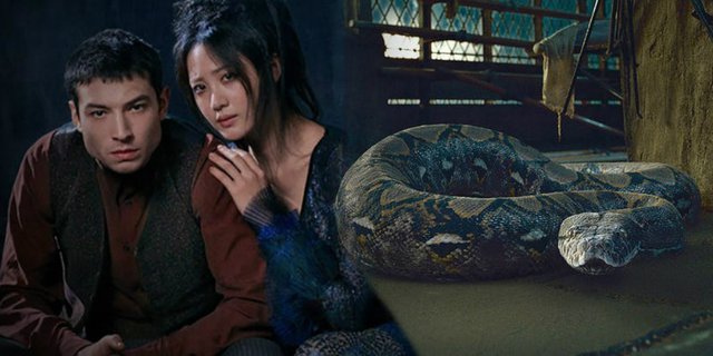Keren! Nagini di Fantastic Beasts Terinspirasi Mitos Ular Indonesia