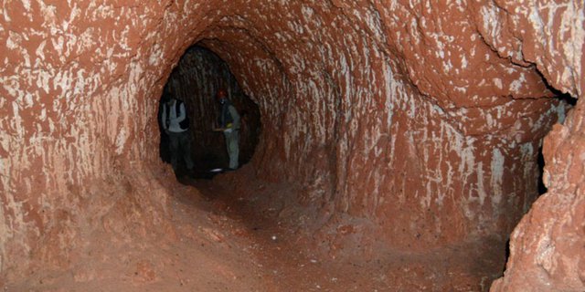 Wow! Terowongan Bawah Tanah Ini Dibuat Hewan Purba