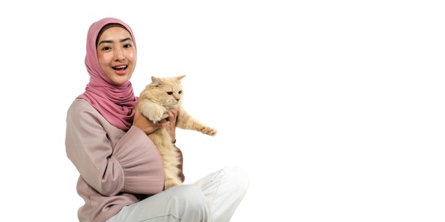 Memelihara Kucing, Bakal Bertemu di Surga?  Dream.co.id