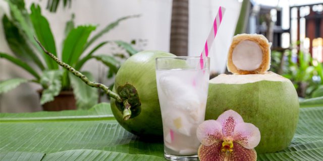 Yuk Simak Berikut Ini Manfaat Air Kelapa Muda Untuk Kesehatan Adalah 