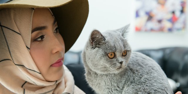 Bulu Kucing Rontok Termasuk Najis?  Dream.co.id