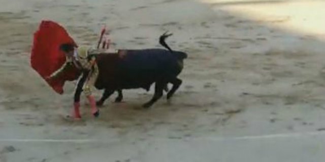 Cerita Matador Kenang Momen Mendebarkan Ditanduk Banteng