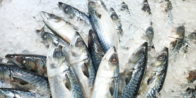 Sertakan Ikan Kembung di Menu Anak, Gizinya Lebih Kaya dari Salmon