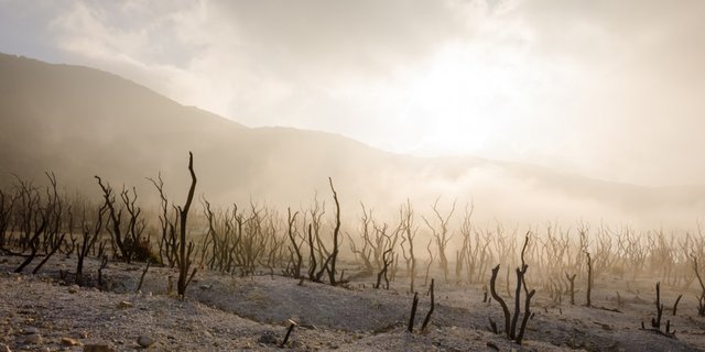 Bukan di Luar Negeri, 5 Destinasi Instagramable Ini Ada di Garut