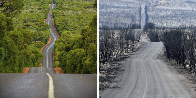 Foto Sebelum dan Sesudah Kebakaran Hutan Australia, Mengerikan!