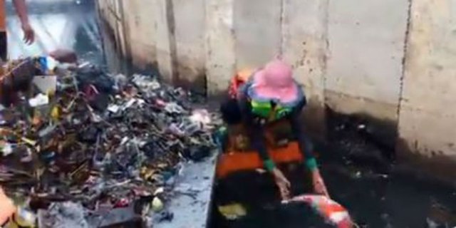 Penemuan Ikan Koi Misterius di Kali Sekretaris Usai Banjir Jakarta